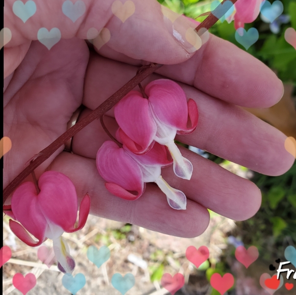 🎈 All Offers Considered 🎈 - Picture 5 of 5